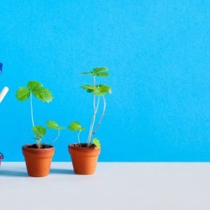 AI Agents vs. Agentic AI: What’s the Difference?